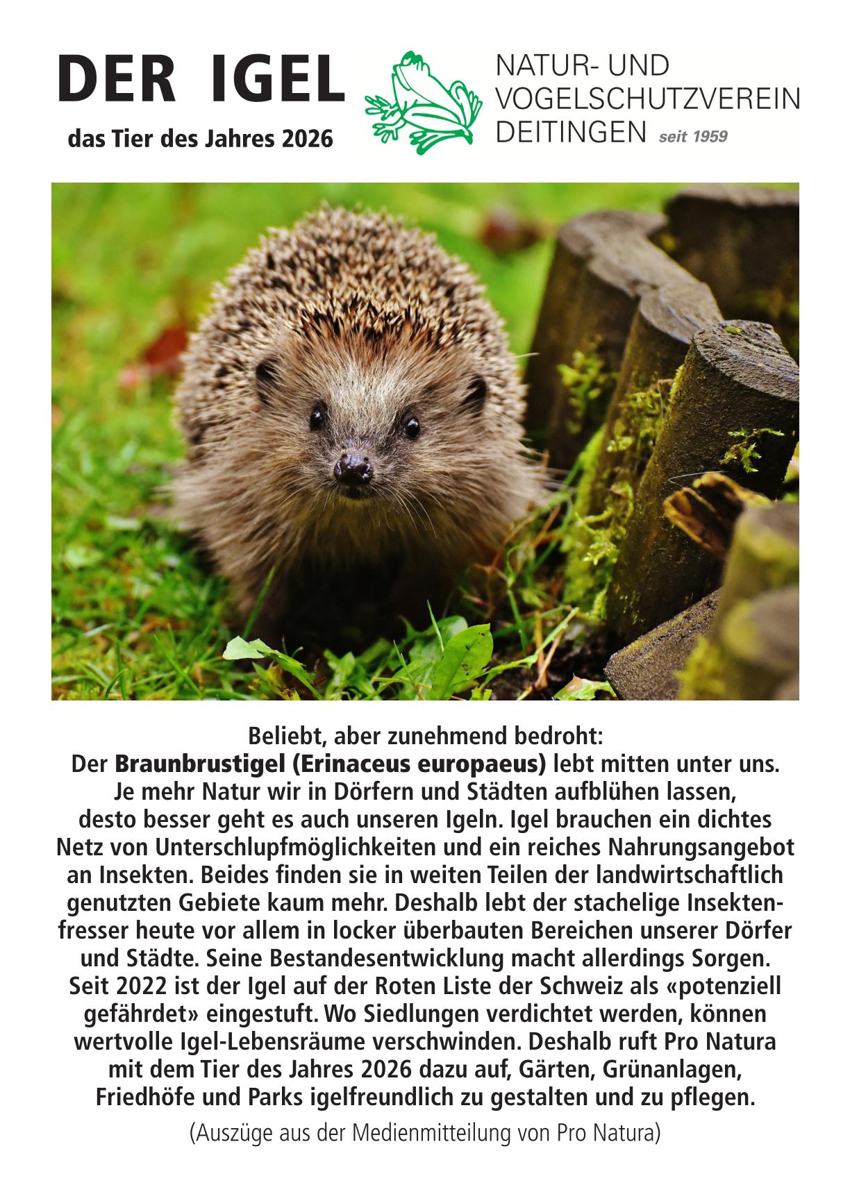 igel 2026 1