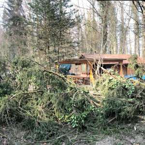 4.3.2023 Sturmholz beim Klubhaus