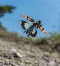 Abendspaziergang 2023