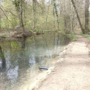 Sanierung Waldweiher 2023