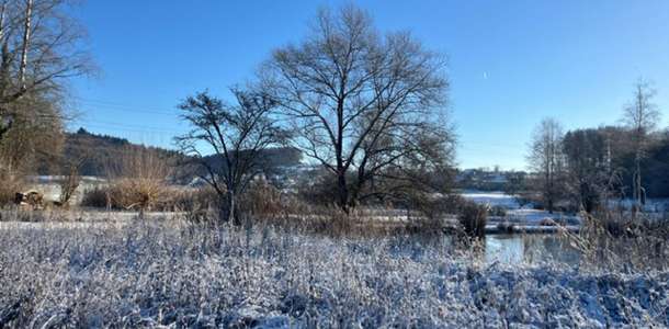 1 grosser weiher impressionen