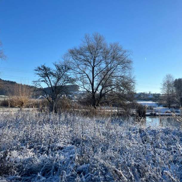 1 grosser weiher impressionen